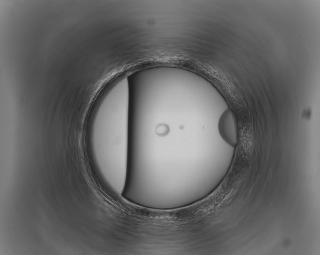 X0000096130587200801180831