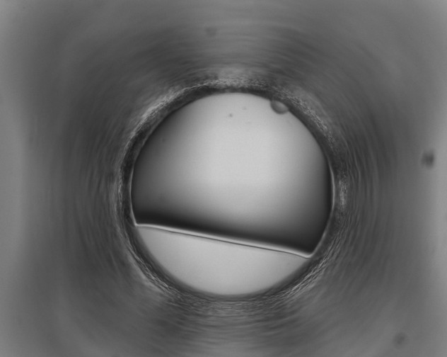 X0000096130588200801180831