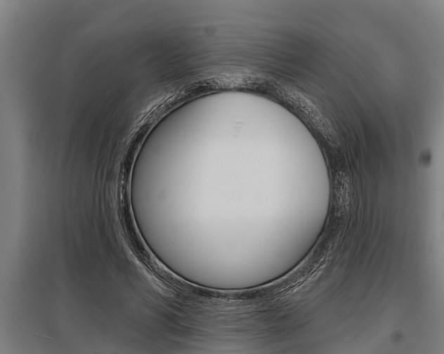 X0000096130590200801180831