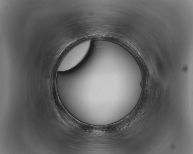 X0000096130592200801180831