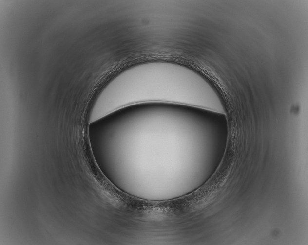X0000096130593200801180831