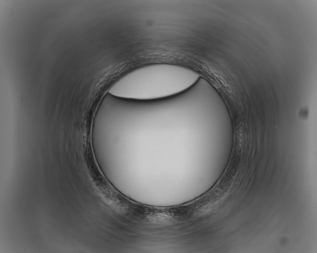 X0000096130594200801180831