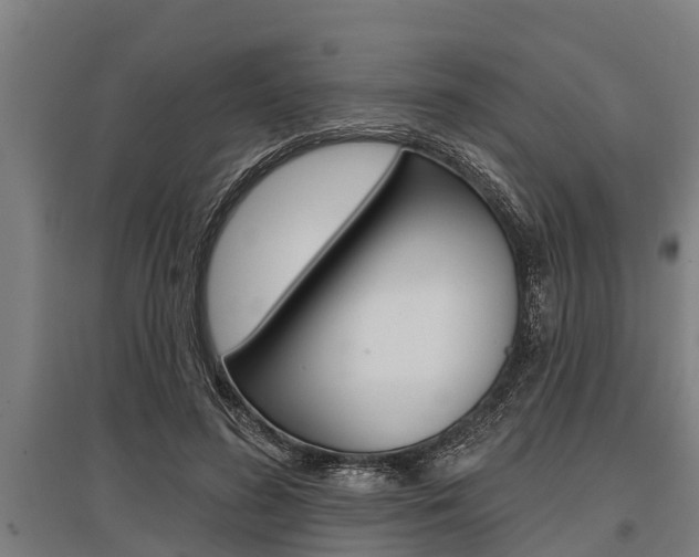 X0000096130596200801180831