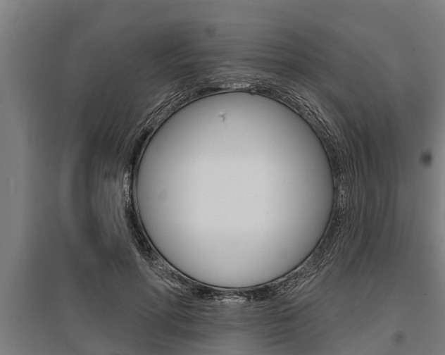 X0000096130598200801180831