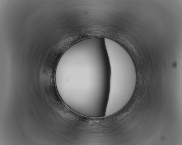 X0000096130599200801180831