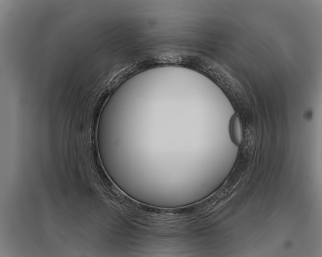 X0000096130600200801180831