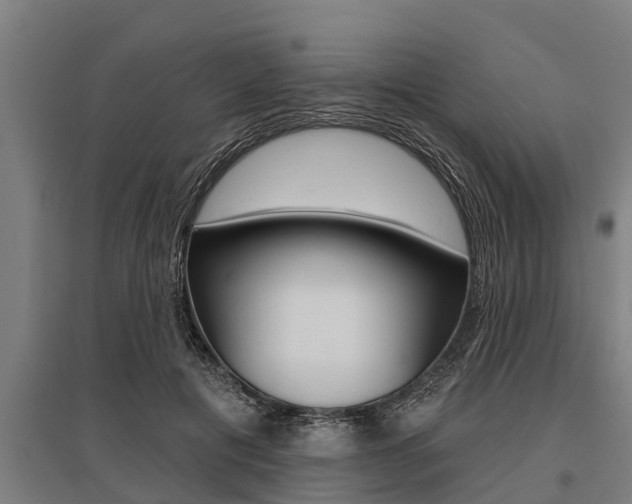 X0000096130601200801180831
