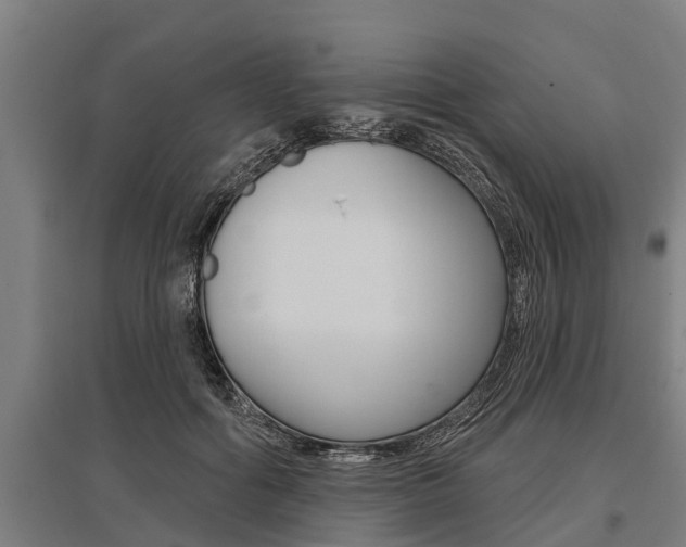 X0000096130602200801180831