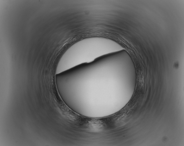X0000096130603200801180831
