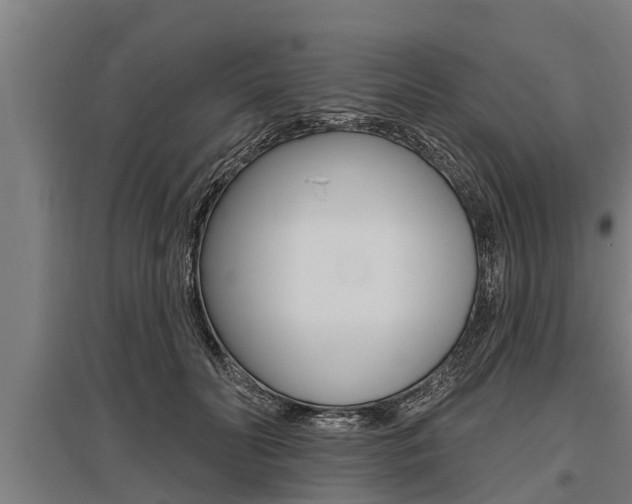 X0000096130606200801180831
