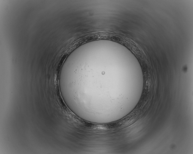 X0000096130610200801180831
