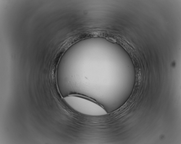 X0000096130611200801180831