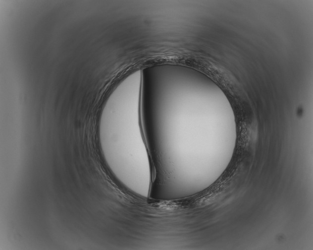 X0000096130612200801180831