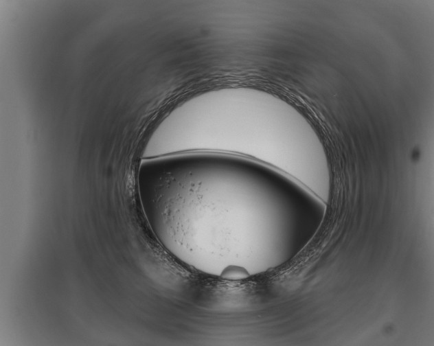 X0000096130613200801180831