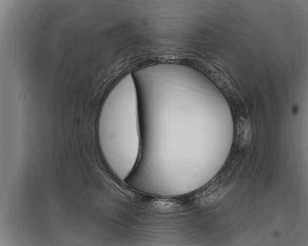 X0000096130614200801180831