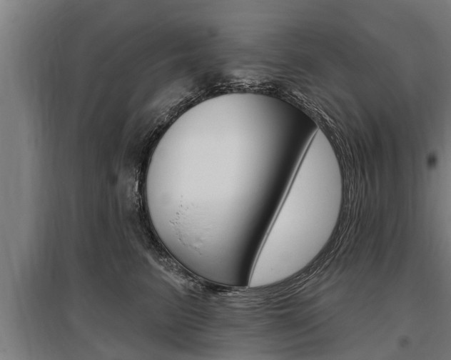 X0000096130615200801180831