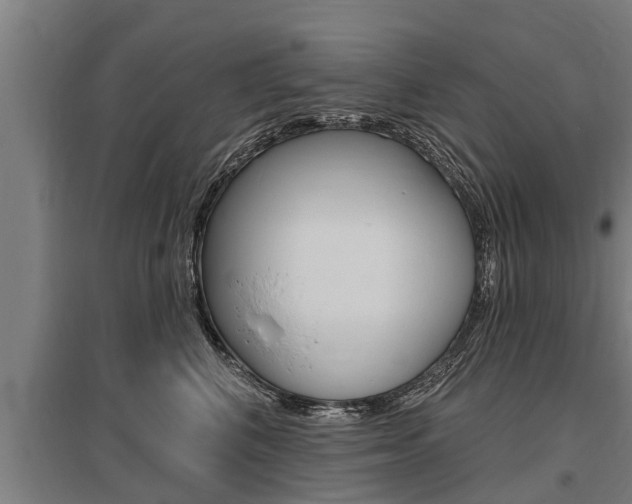 X0000096130616200801180831