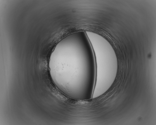 X0000096130617200801180831