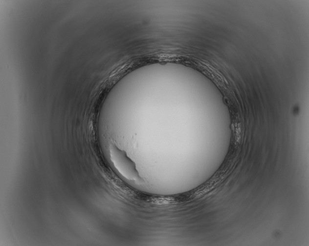 X0000096130618200801180831