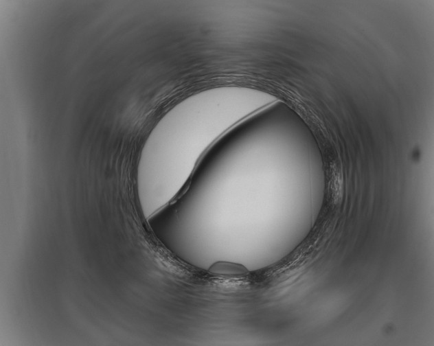 X0000096130619200801180831
