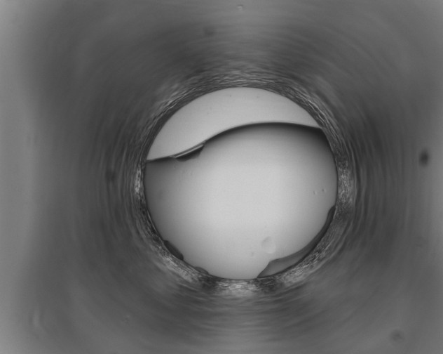 X0000096130621200801180831