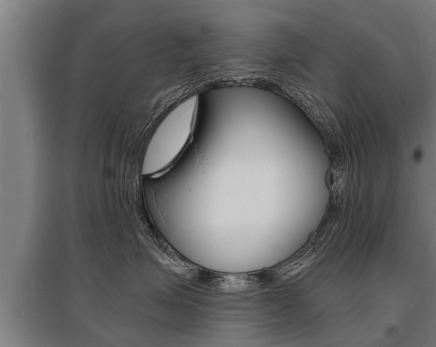 X0000096130623200801180831