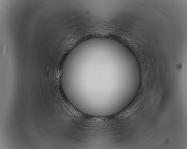 X0000096130624200801180831