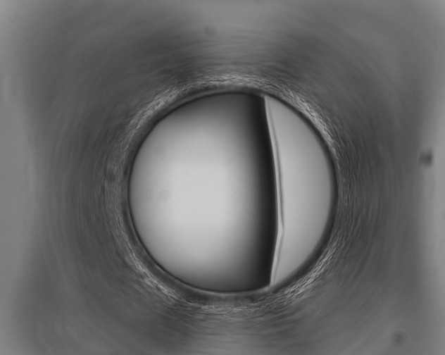 X0000096130625200801180830