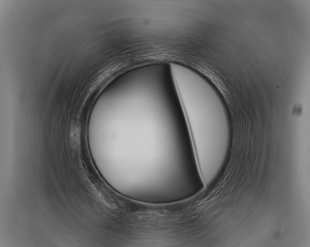 X0000096130626200801180830