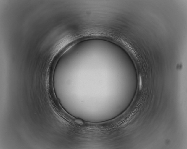 X0000096130627200801180830