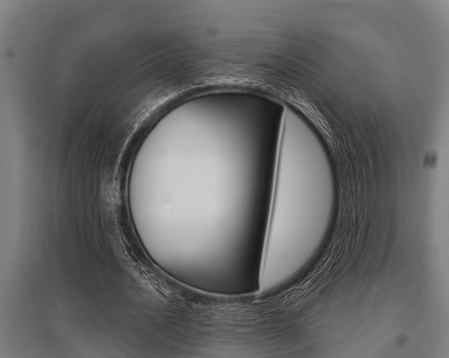 X0000096130628200801180830