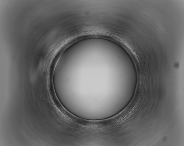 X0000096130629200801180830