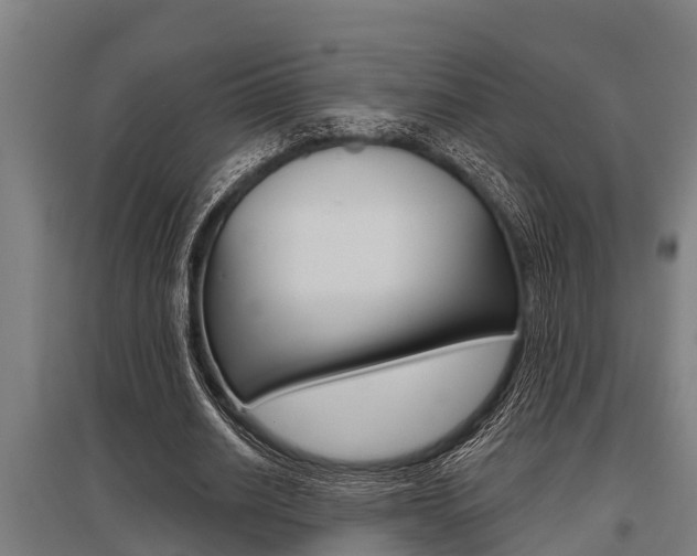 X0000096130630200801180830