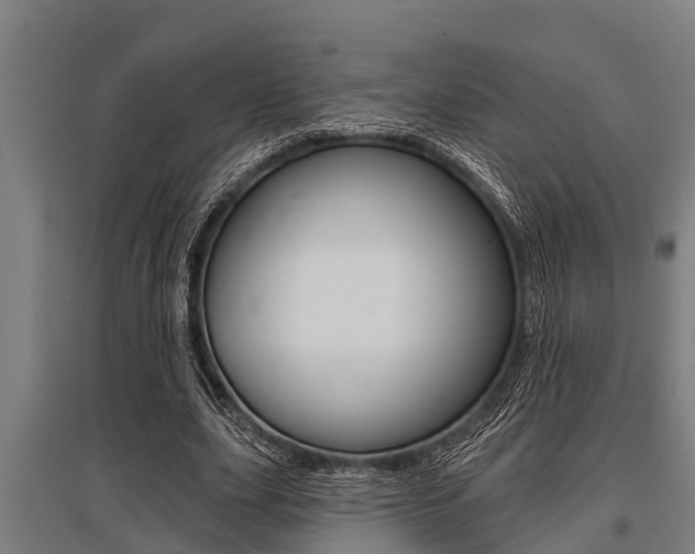 X0000096130631200801180830