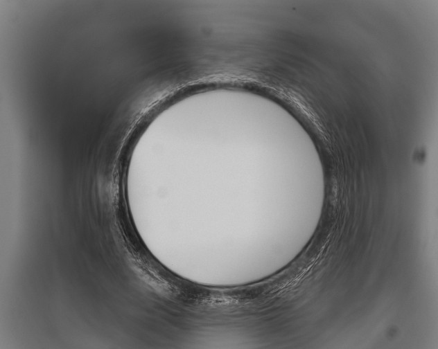 X0000096130632200801180830