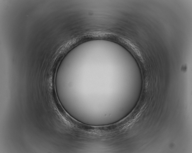 X0000096130633200801180830