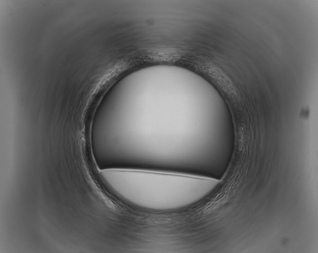 X0000096130634200801180830