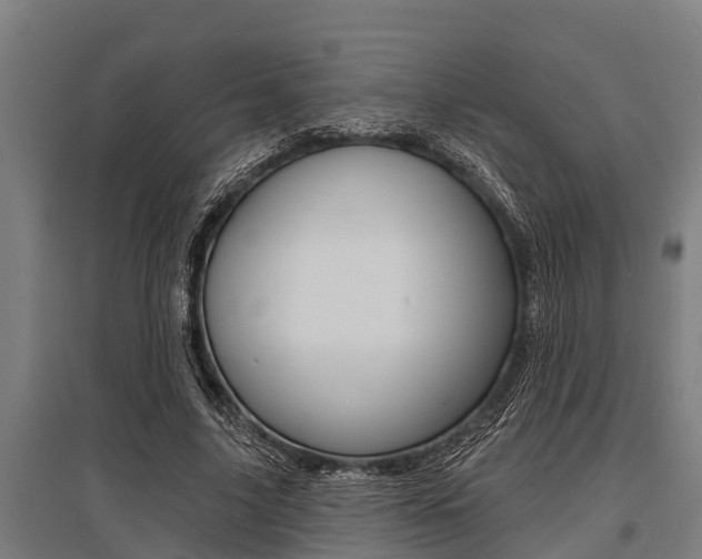 X0000096130635200801180830