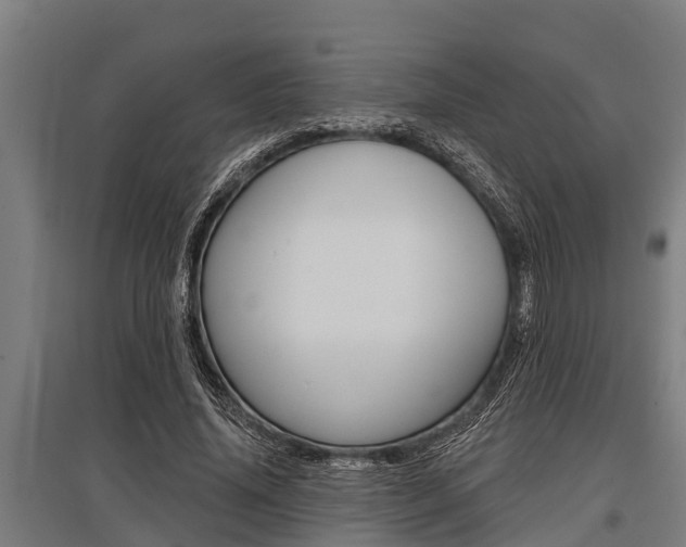 X0000096130636200801180830