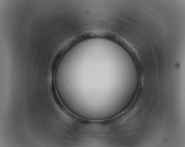 X0000096130637200801180830