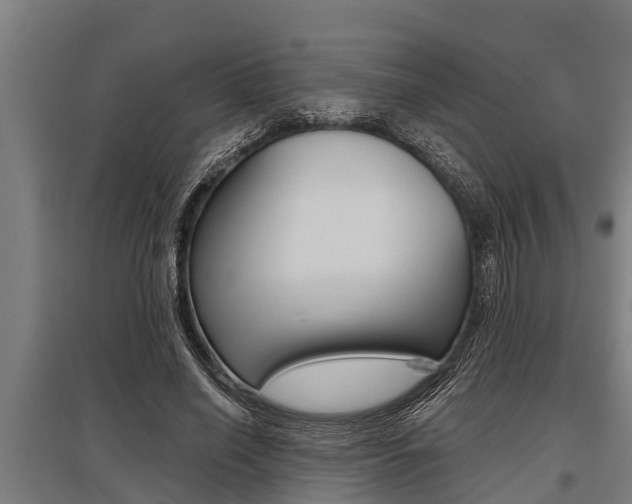X0000096130638200801180830