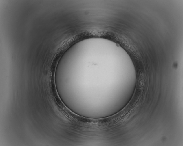 X0000096130639200801180830