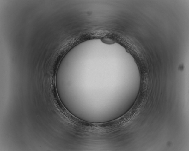 X0000096130641200801180830