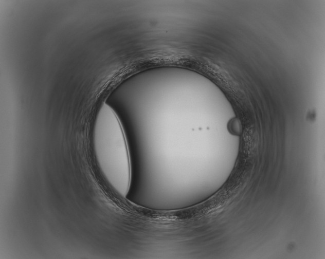 X0000096130642200801180830