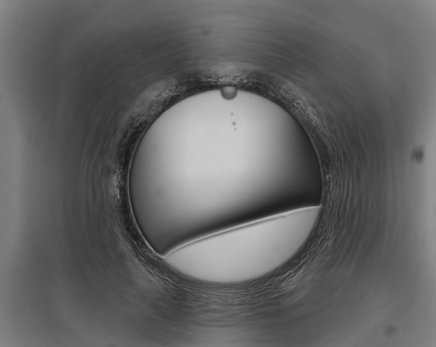 X0000096130643200801180830