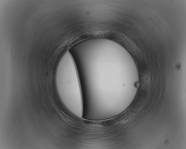 X0000096130644200801180830
