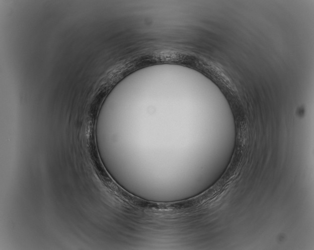 X0000096130645200801180830