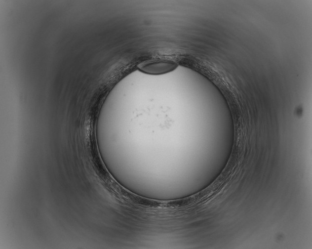 X0000096130647200801180830