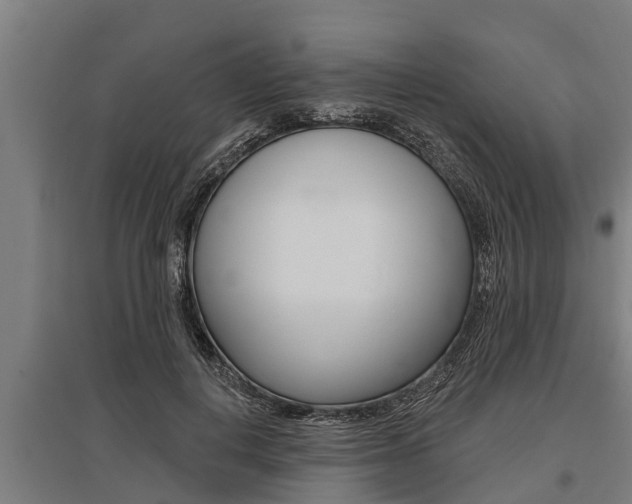 X0000096130648200801180830