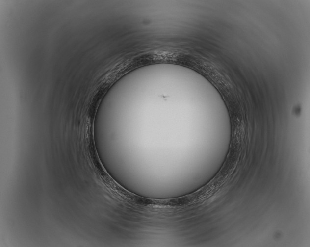 X0000096130649200801180830